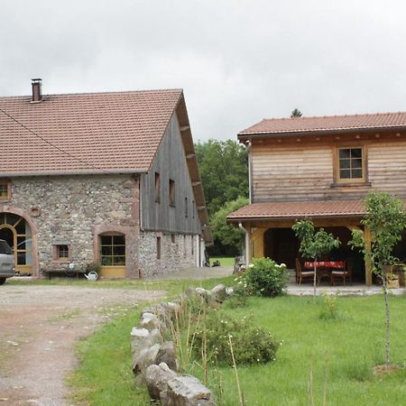 Gites Typiques Au Coeur Des Hautes Vosges Saulxures-sur-Moselotte Buitenkant foto