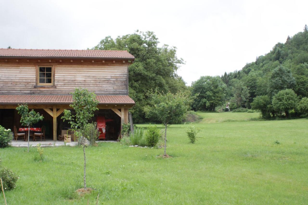 Gites Typiques Au Coeur Des Hautes Vosges Saulxures-sur-Moselotte Buitenkant foto
